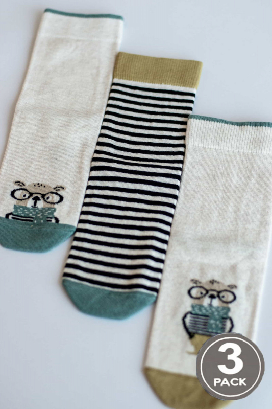 Набір шкарпеток 127 Socks (3 пари)